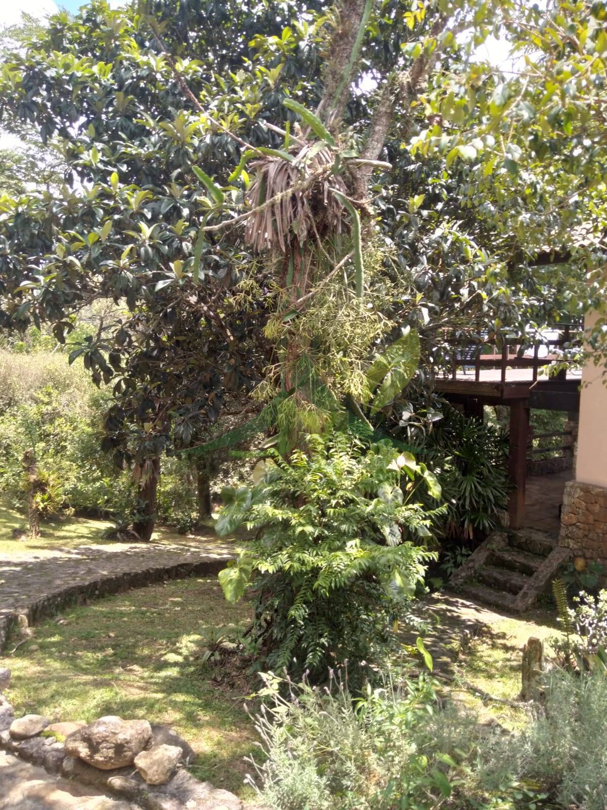 Sítio, 4 quartos, 4200 m² - Foto 41