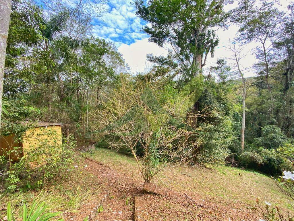 Sítio, 5 quartos, 5000 m² - Foto 7