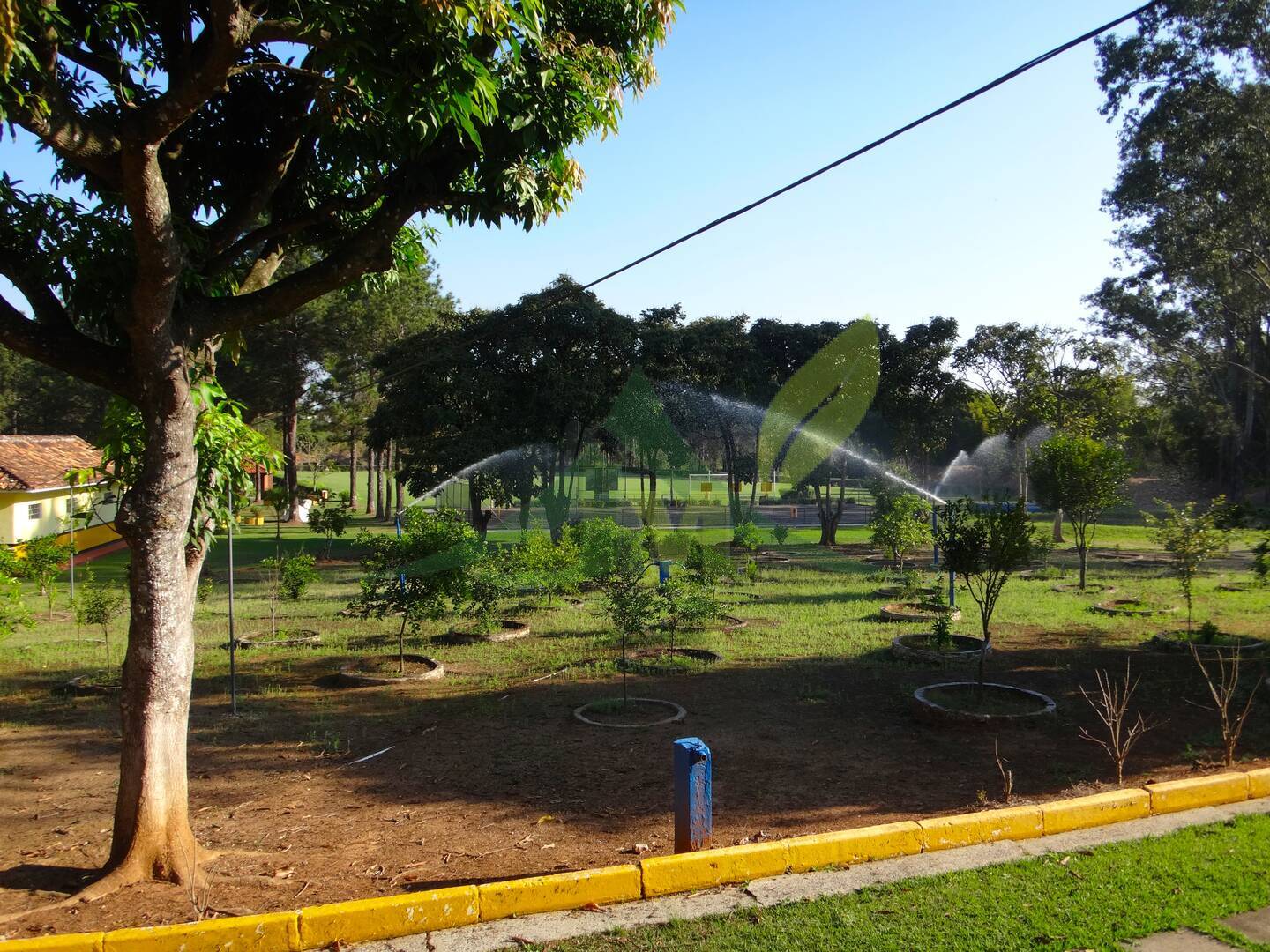 Sítio, 12 quartos, 10 hectares - Foto 25