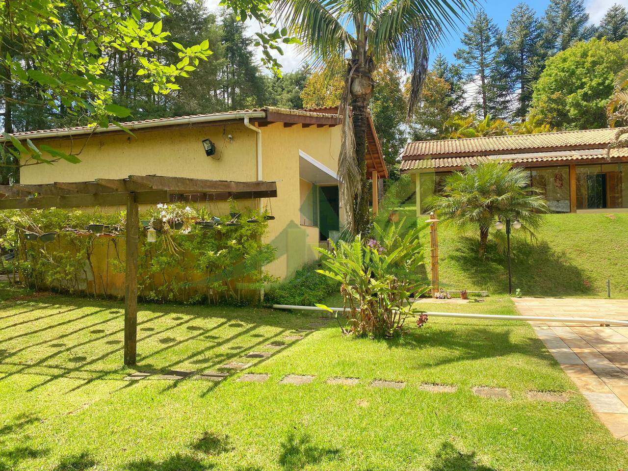 Sítio, 6 quartos, 6 hectares - Foto 3