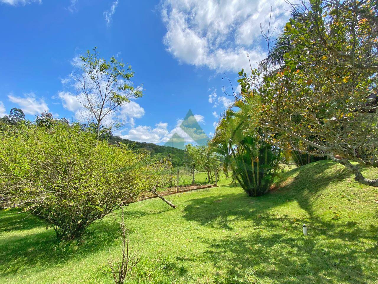 Sítio, 6 quartos, 6 hectares - Foto 15