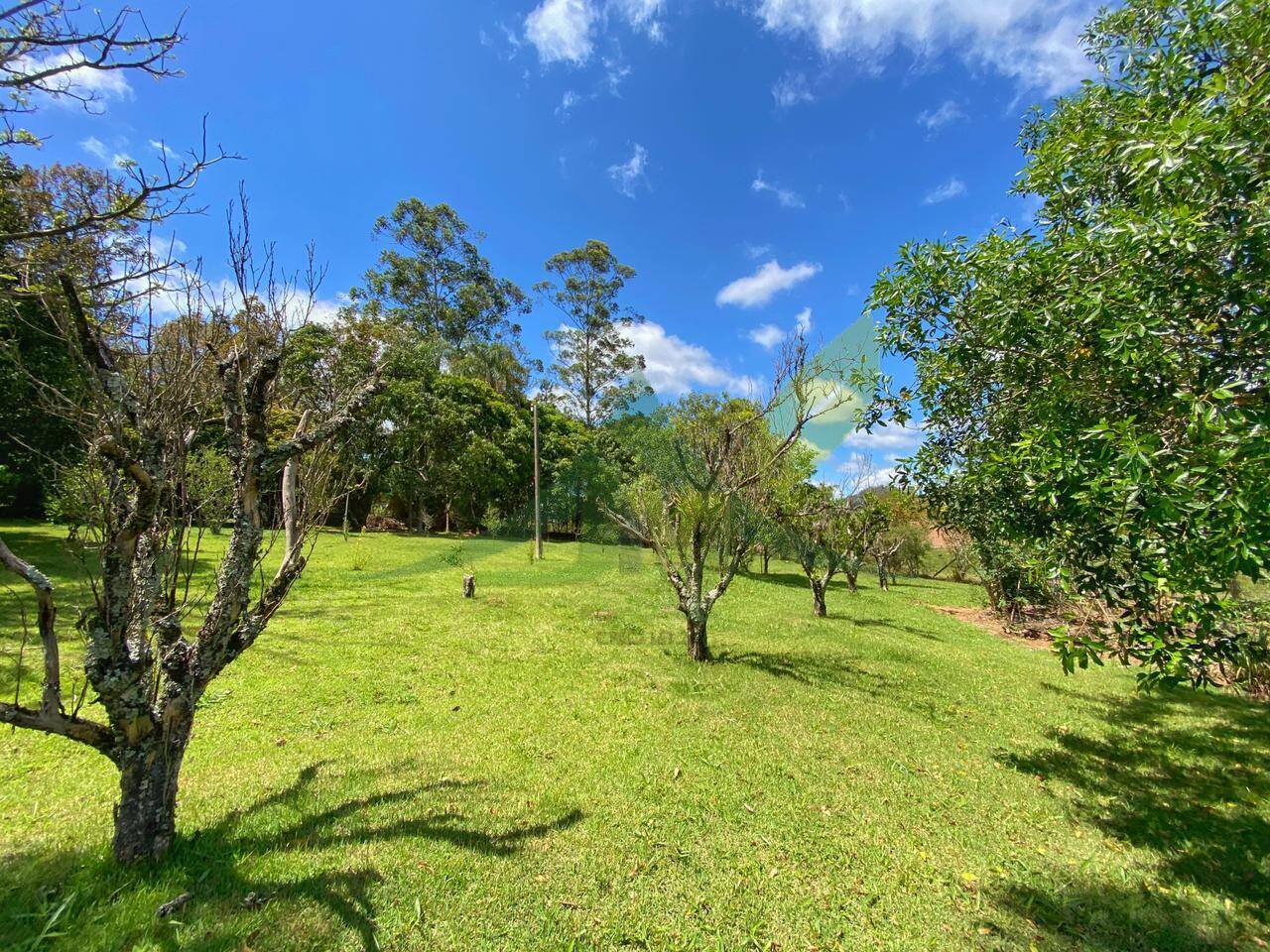 Sítio, 6 quartos, 6 hectares - Foto 14