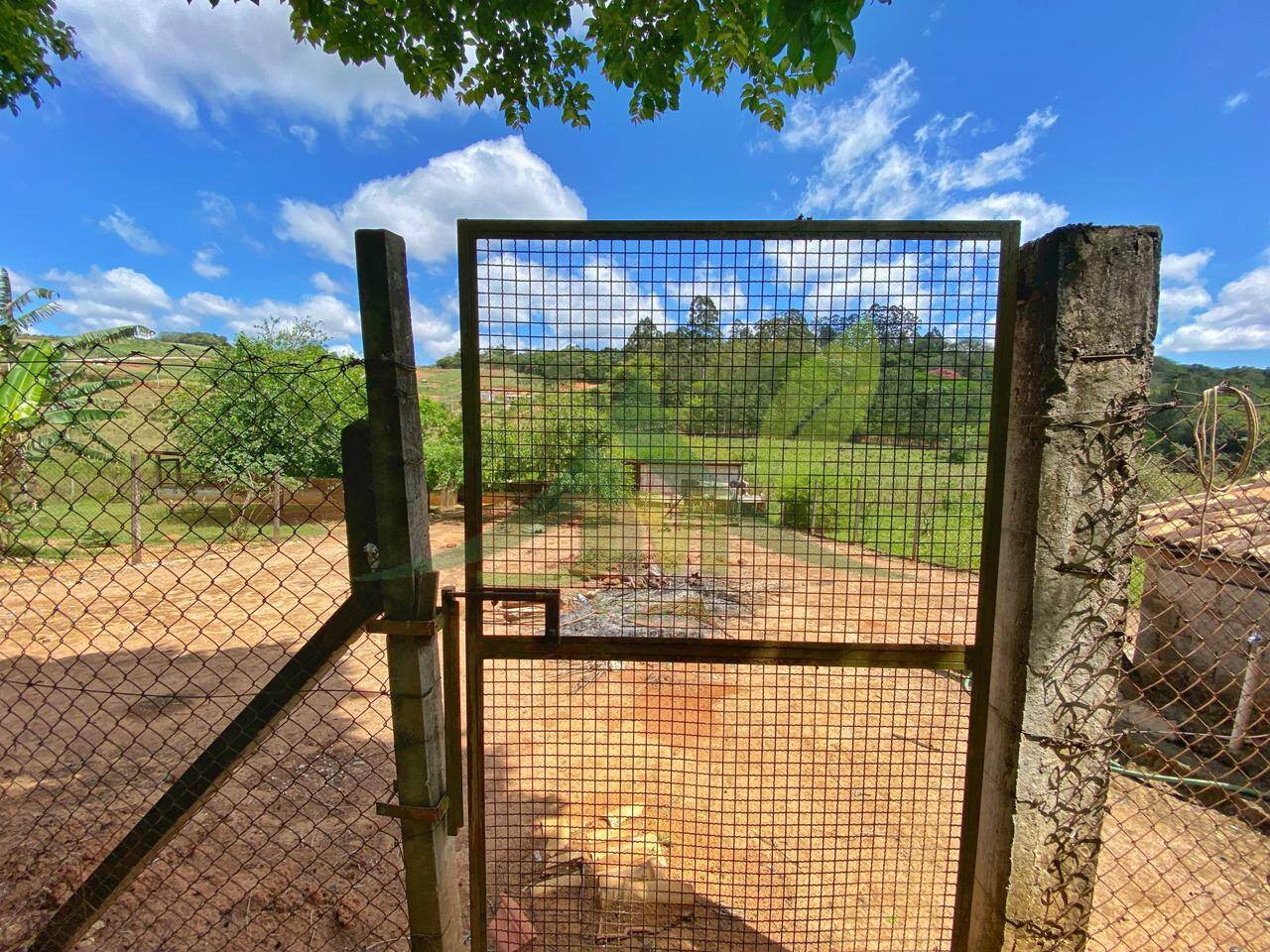 Sítio, 6 quartos, 6 hectares - Foto 13