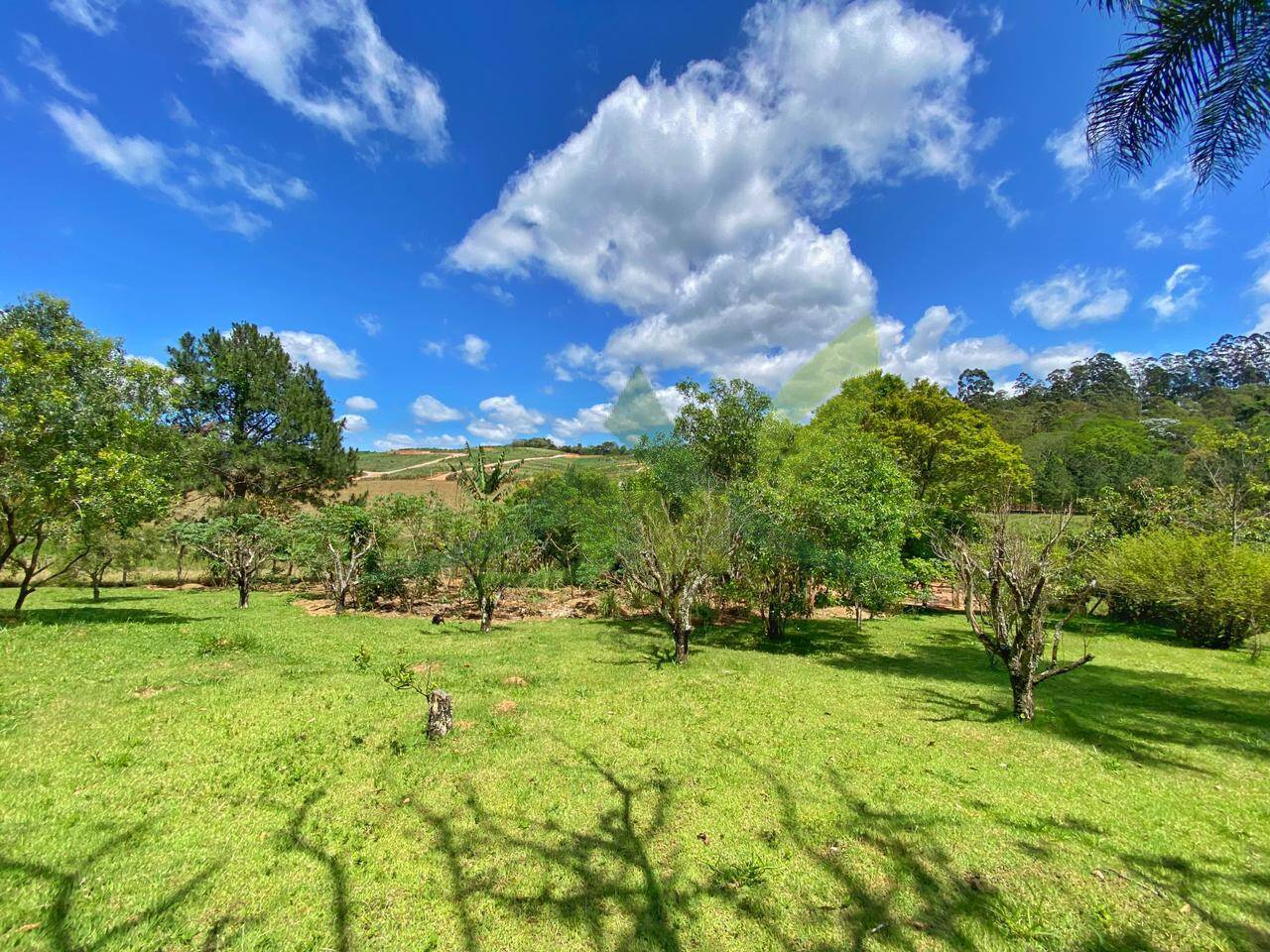 Sítio, 6 quartos, 6 hectares - Foto 17