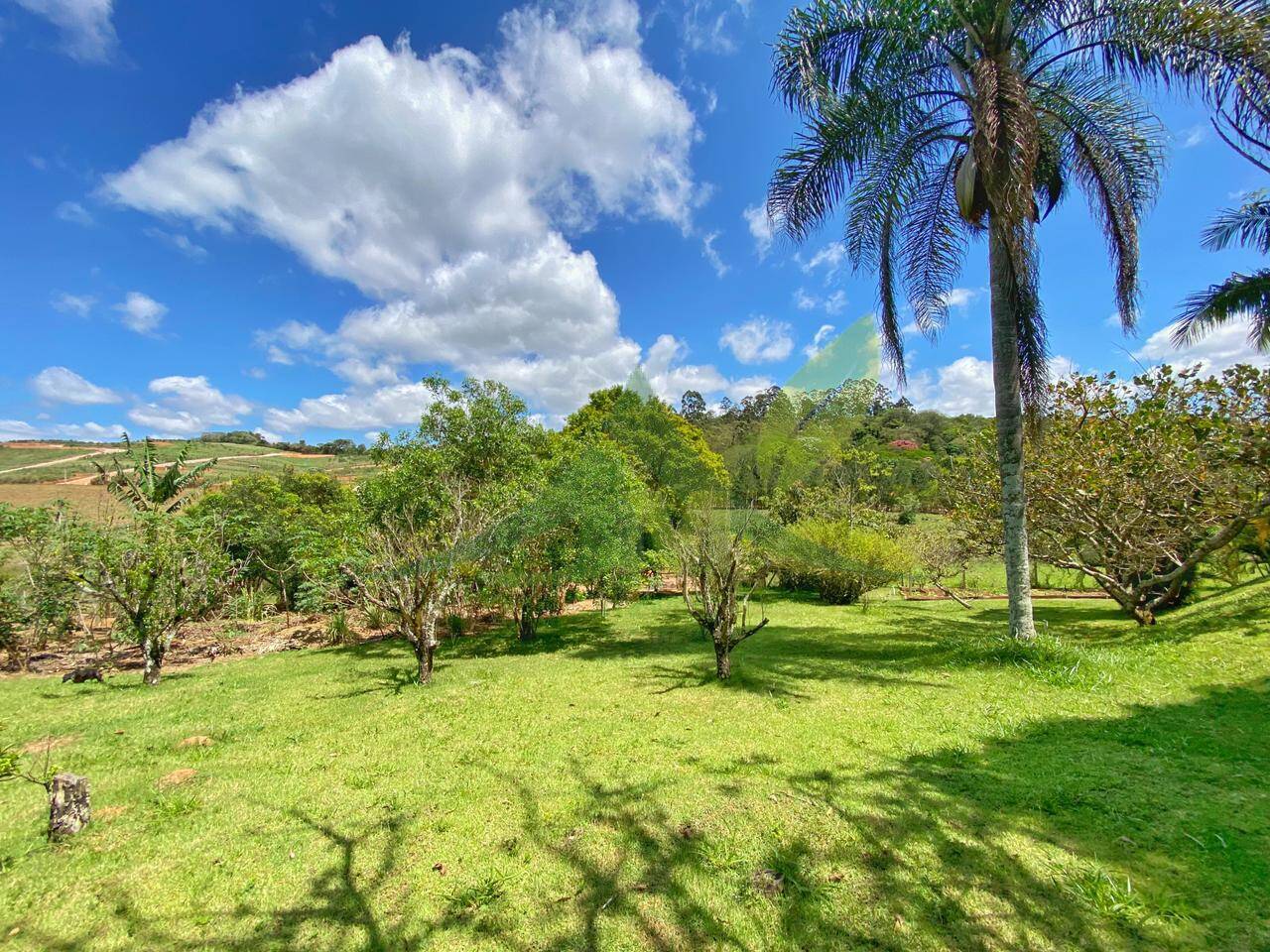 Sítio, 6 quartos, 6 hectares - Foto 18