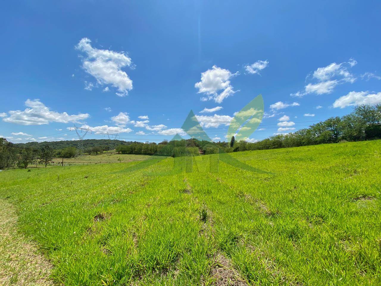 Sítio, 6 quartos, 6 hectares - Foto 42
