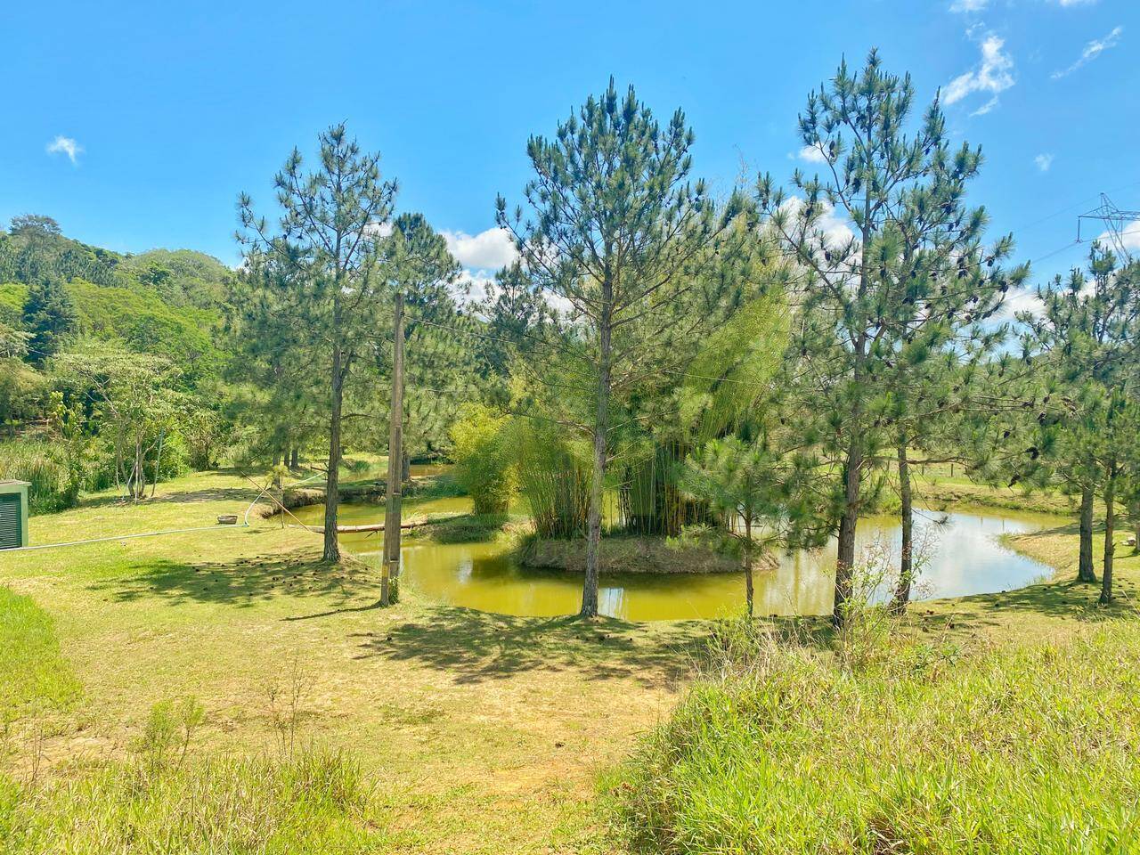 Sítio, 6 quartos, 6 hectares - Foto 43