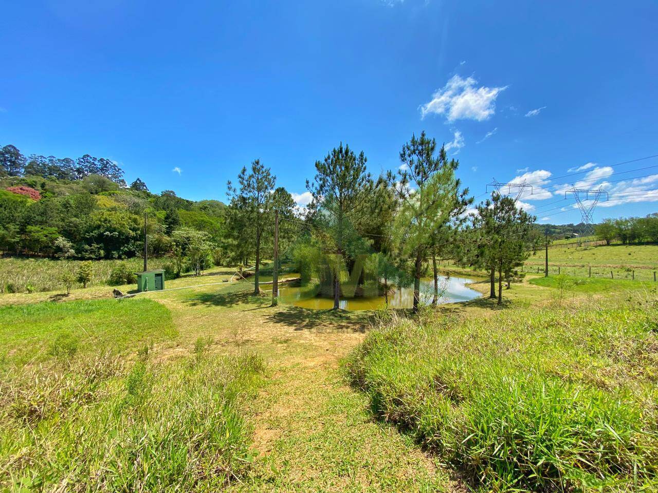 Sítio, 6 quartos, 6 hectares - Foto 44