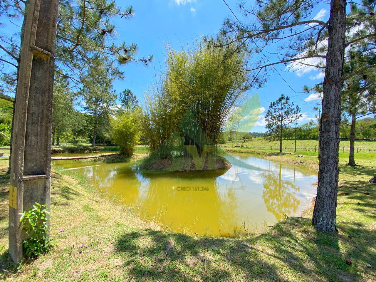 Sítio, 6 quartos, 6 hectares - Foto 46