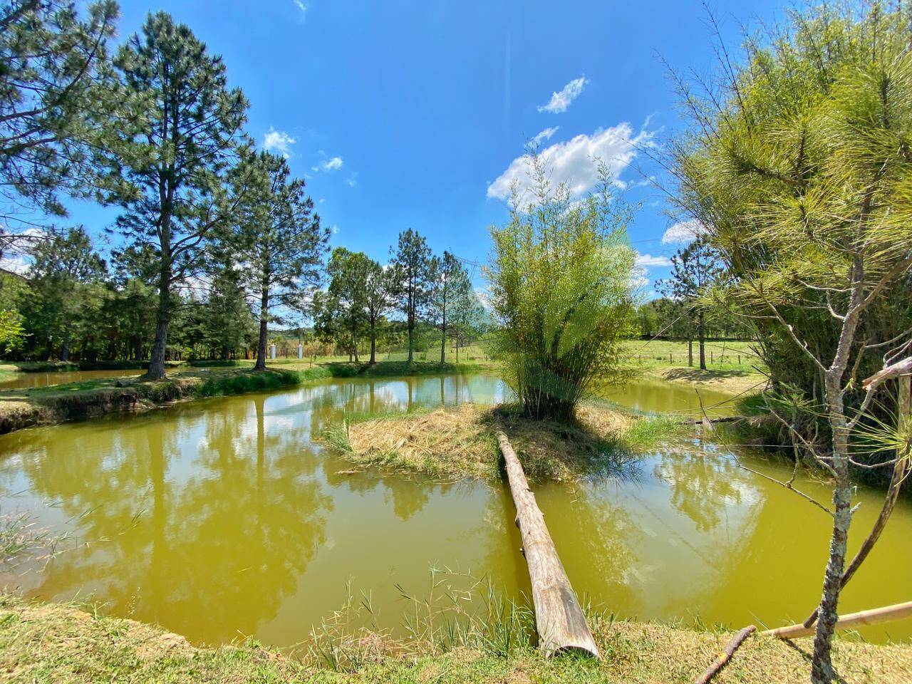 Sítio, 6 quartos, 6 hectares - Foto 48
