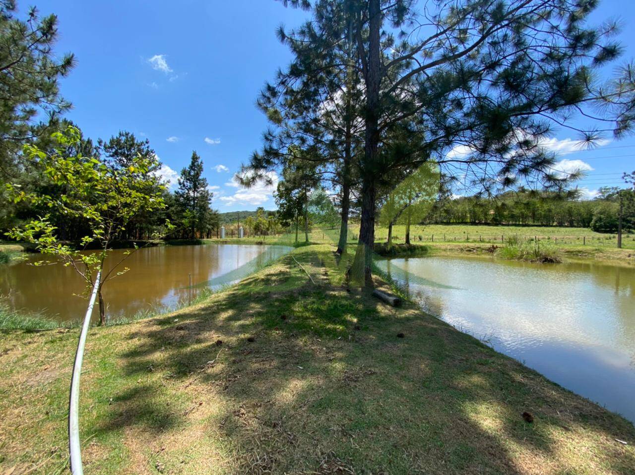Sítio, 6 quartos, 6 hectares - Foto 49