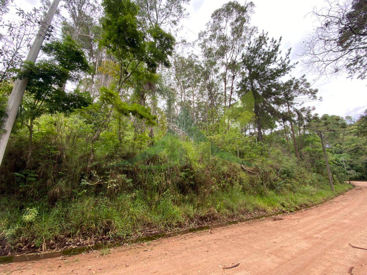 Terreno, 3100 m² - Foto 1