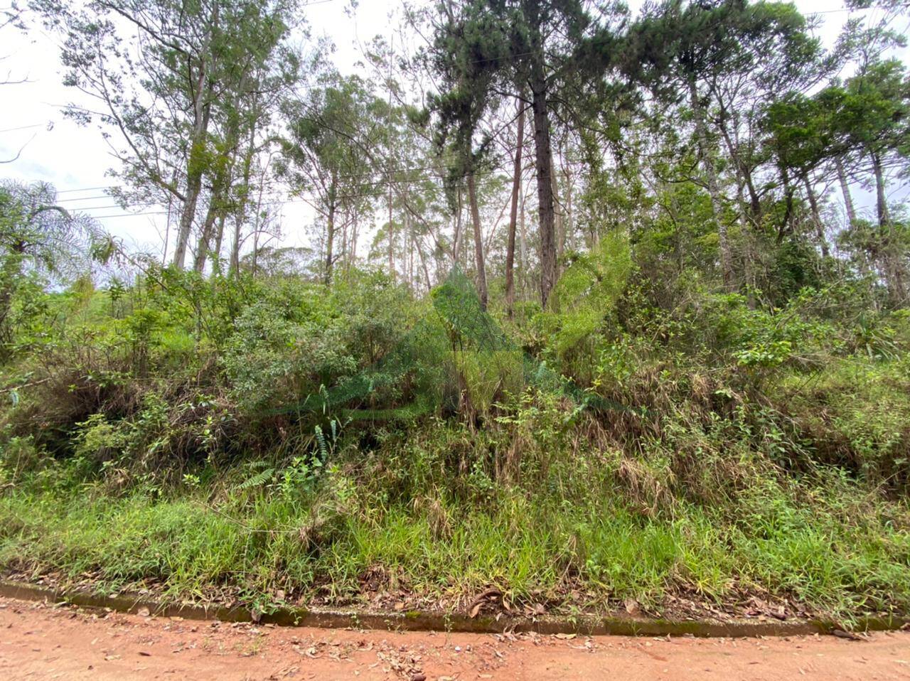 Terreno, 3100 m² - Foto 3
