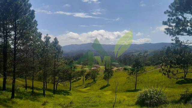 Terreno, 3000 m² - Foto 1