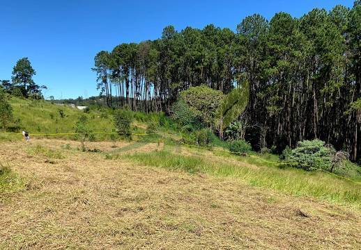 Terreno, 3000 m² - Foto 5