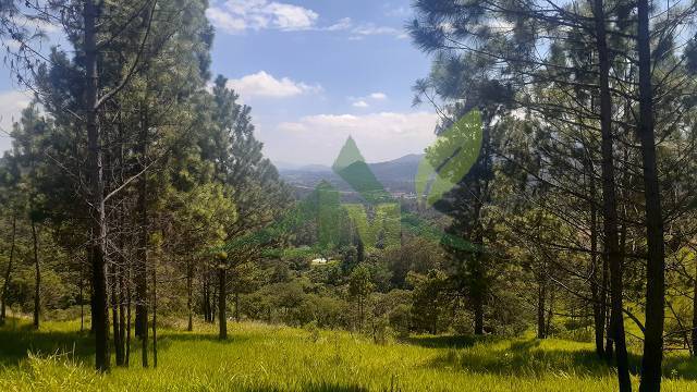 Terreno, 3000 m² - Foto 2