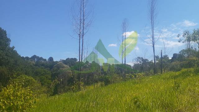 Terreno, 3000 m² - Foto 4