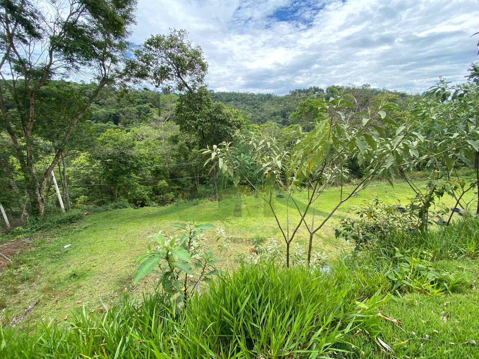 Sítio, 3 quartos, 5100 m² - Foto 9