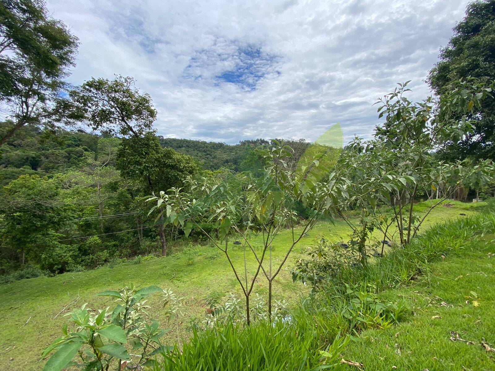 Sítio, 3 quartos, 5100 m² - Foto 11