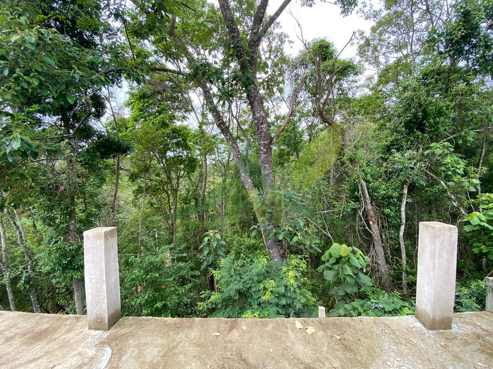 Sítio, 3 quartos, 5100 m² - Foto 23