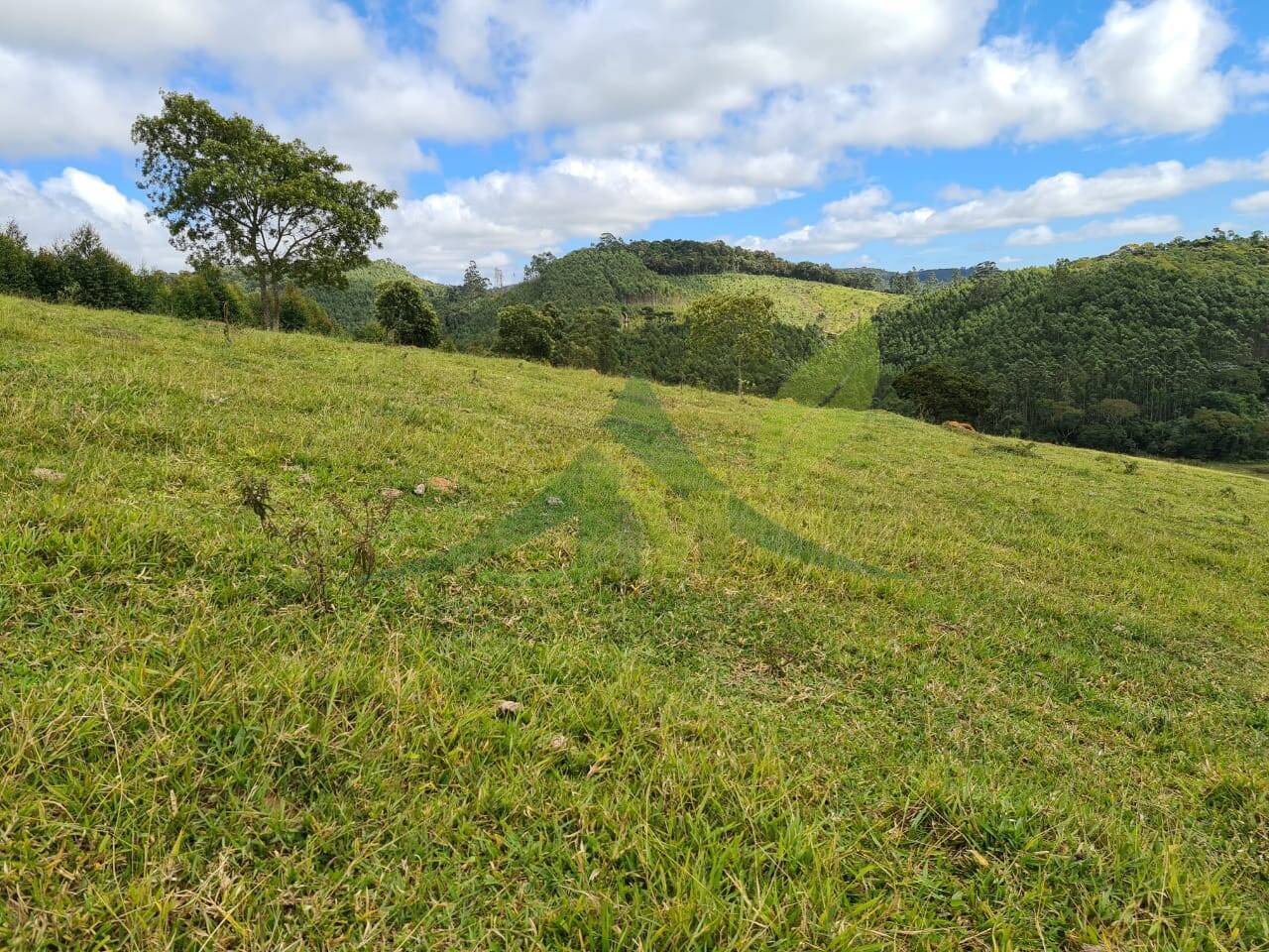 Sítio, 3 quartos, 51 hectares - Foto 4