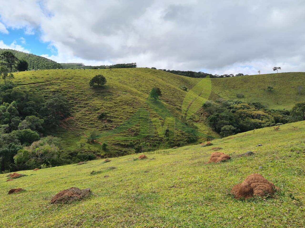 Sítio, 3 quartos, 51 hectares - Foto 8