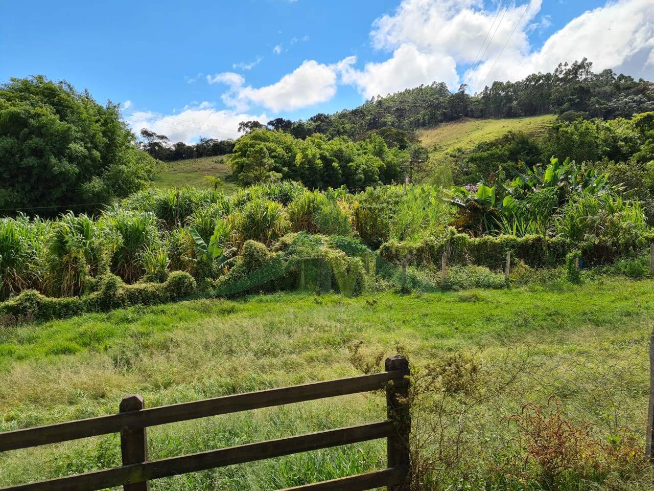 Sítio, 3 quartos, 51 hectares - Foto 13