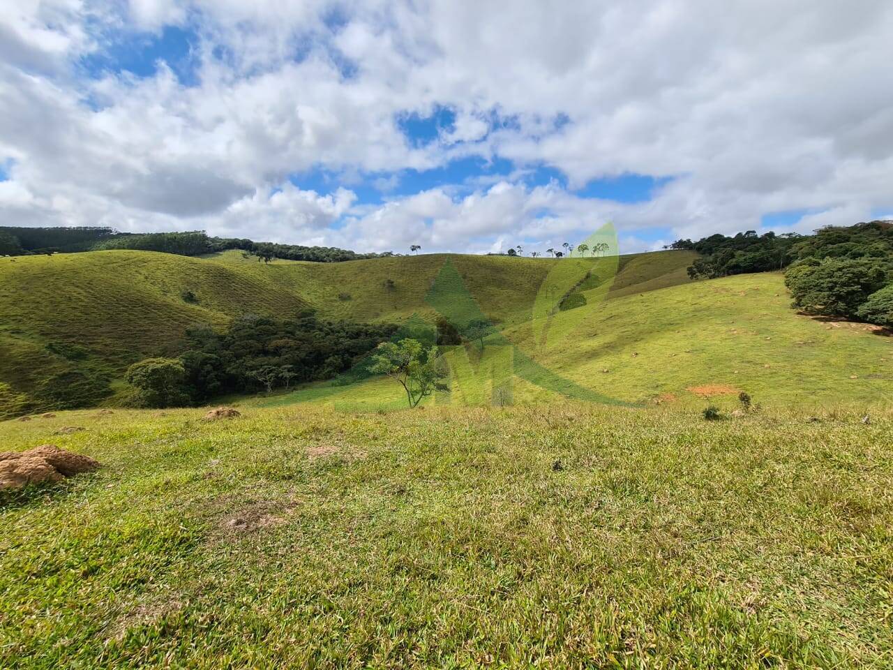 Sítio, 3 quartos, 51 hectares - Foto 17