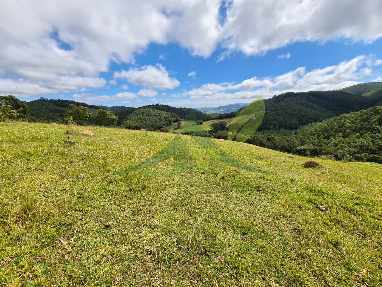 Sítio, 3 quartos, 51 hectares - Foto 21