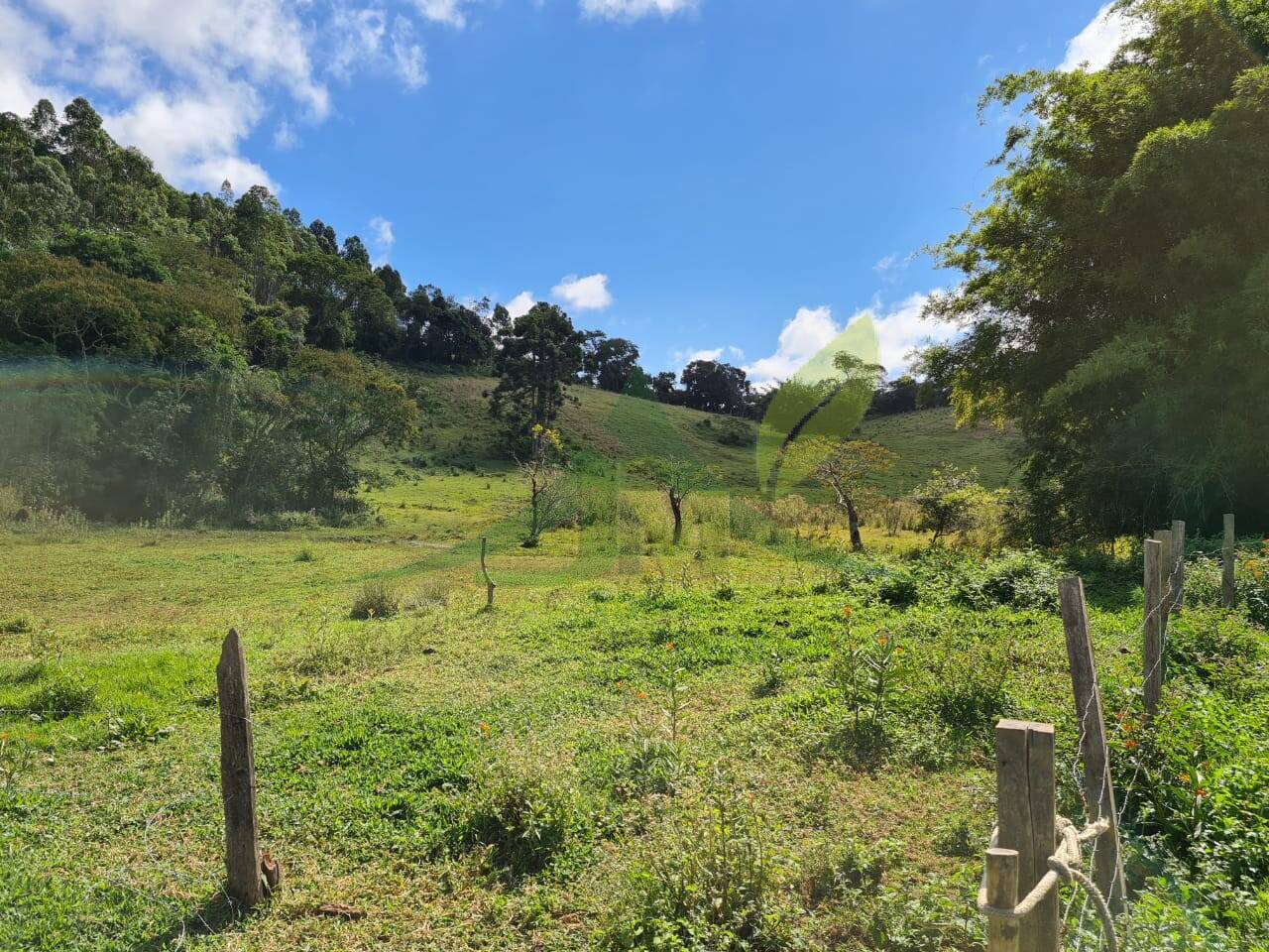 Sítio, 3 quartos, 51 hectares - Foto 22