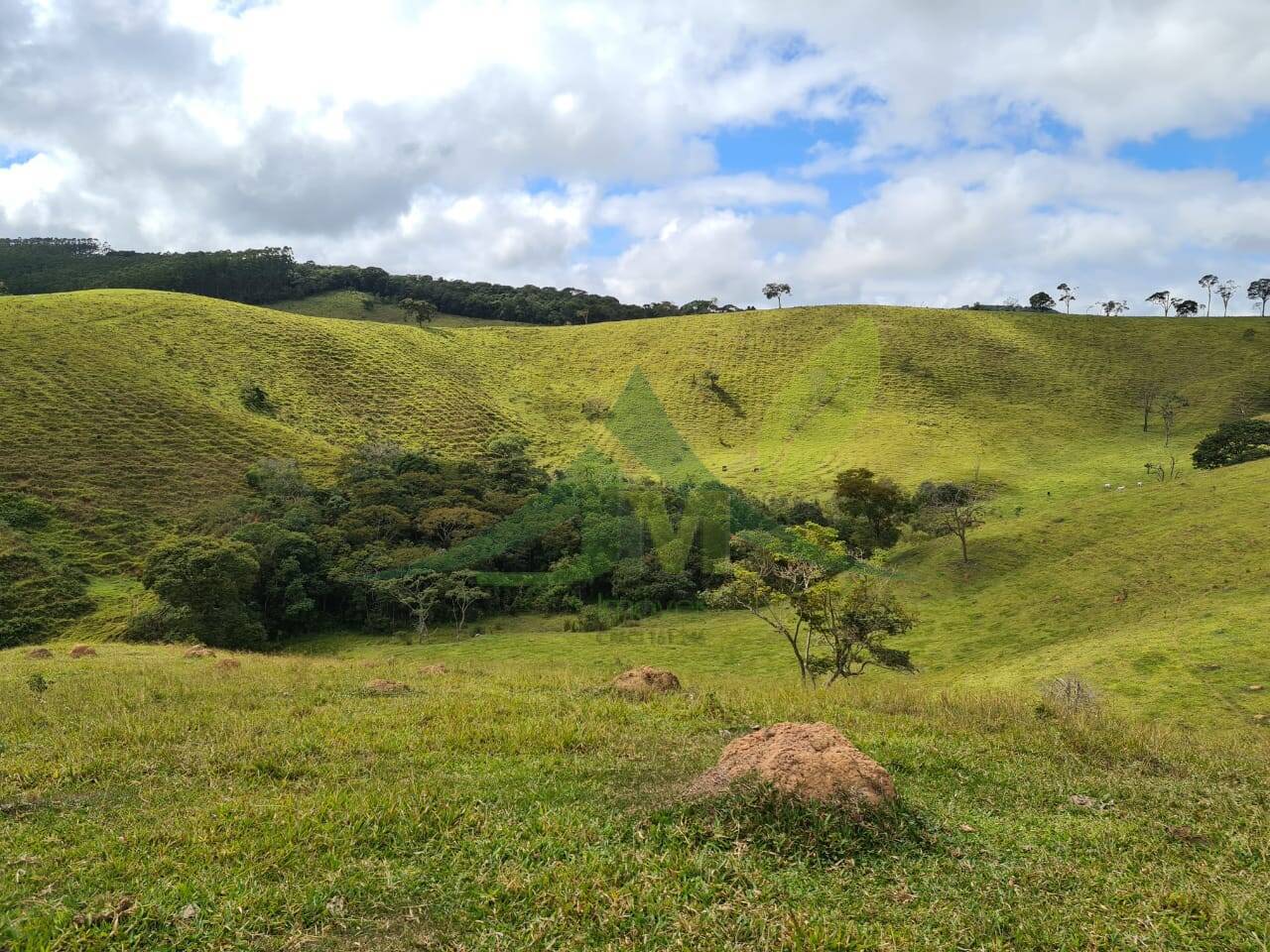 Sítio, 3 quartos, 51 hectares - Foto 23