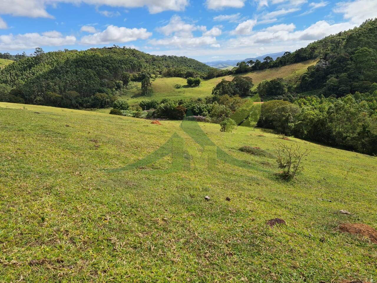 Sítio, 3 quartos, 51 hectares - Foto 24