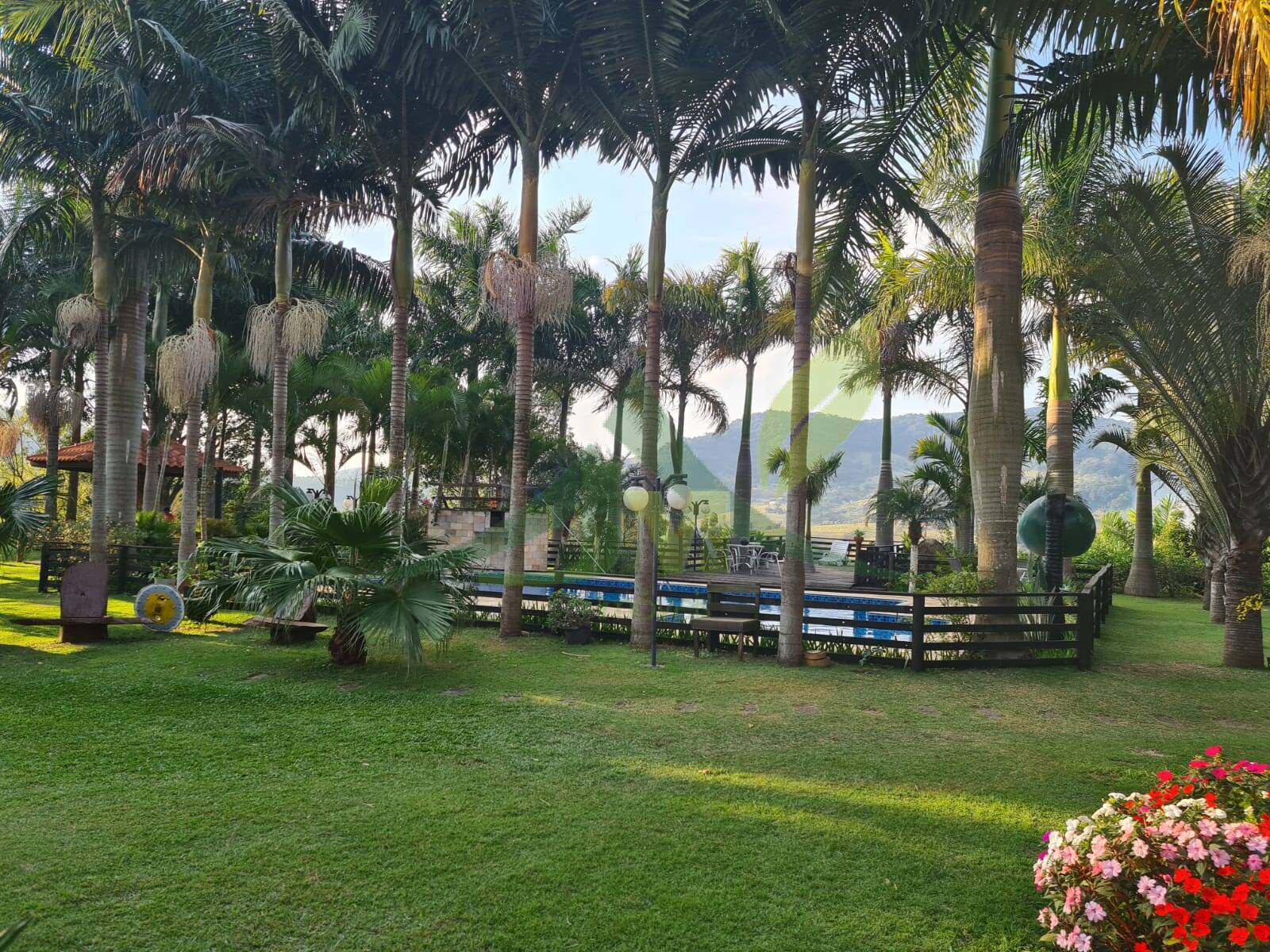 Sítio, 5 quartos, 4 hectares - Foto 18