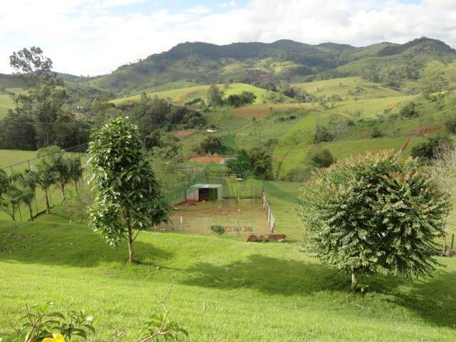 Sítio, 5 quartos, 4 hectares - Foto 24