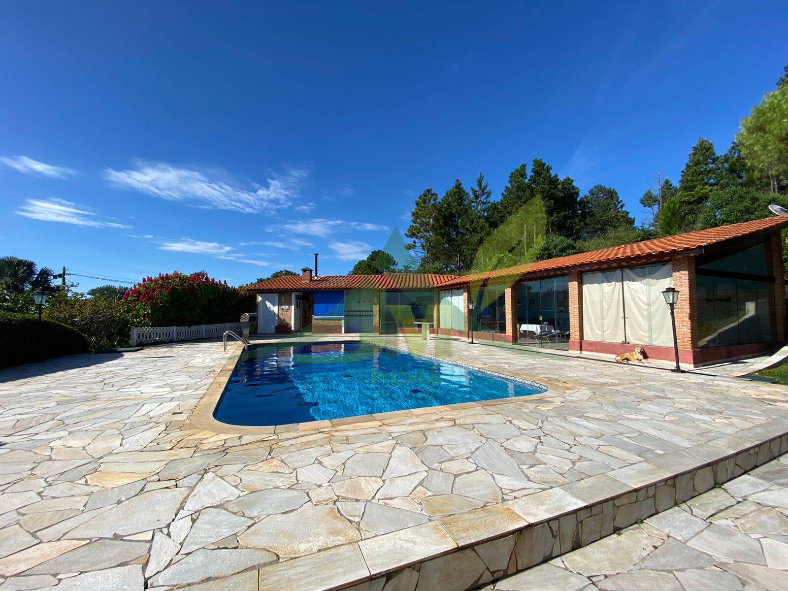 Sítio, 6 quartos, 5115 m² - Foto 6