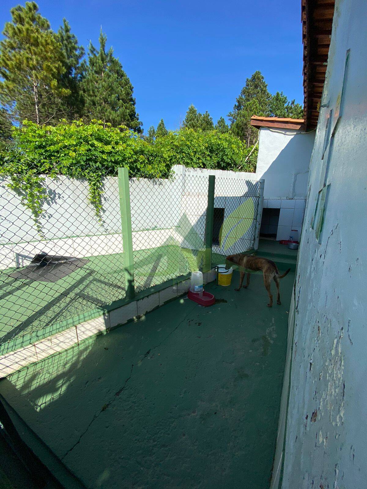 Sítio, 6 quartos, 5115 m² - Foto 23
