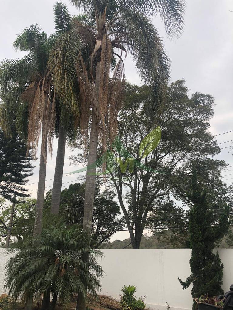 Casa, 4 quartos, 500 m² - Foto 41
