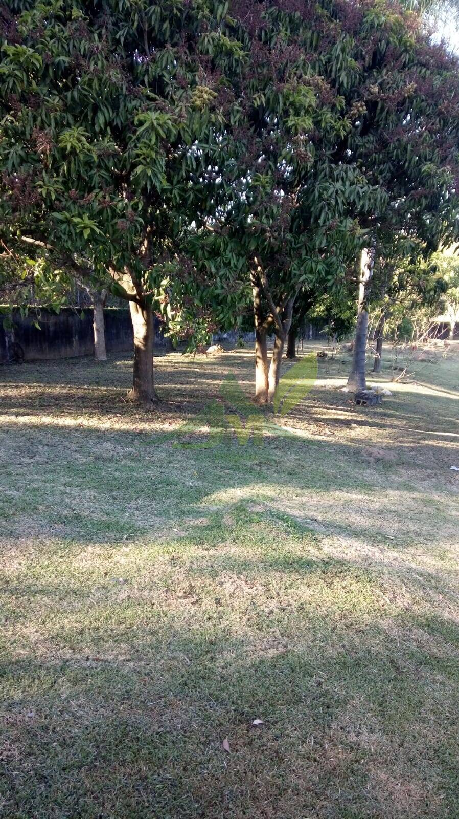 Sítio, 5 quartos, 3662 m² - Foto 14