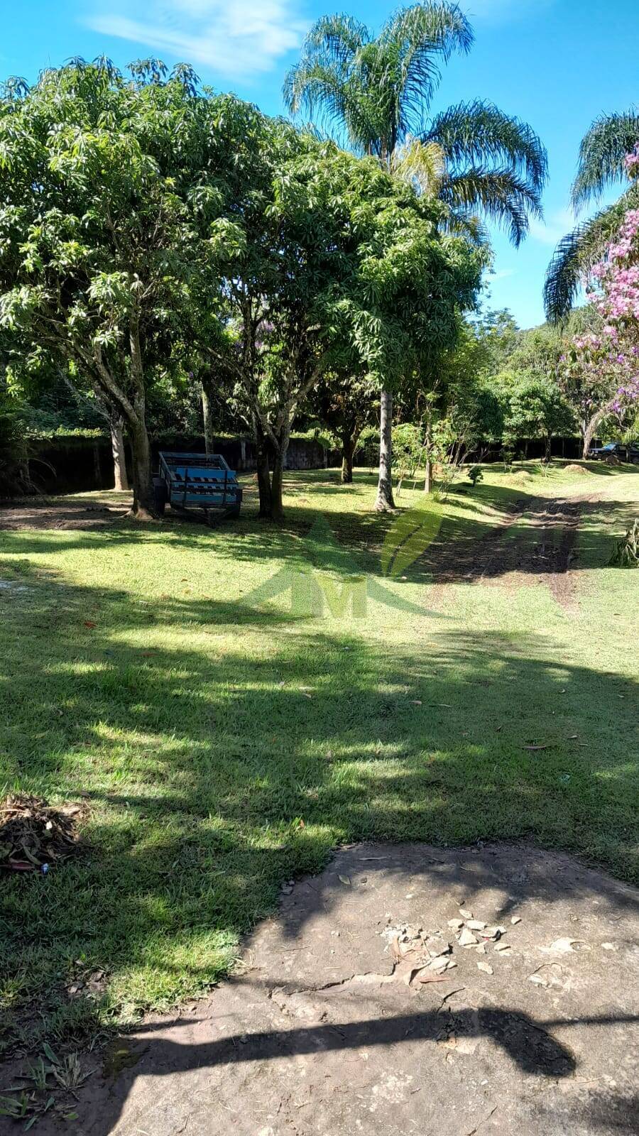 Sítio, 5 quartos, 3662 m² - Foto 16