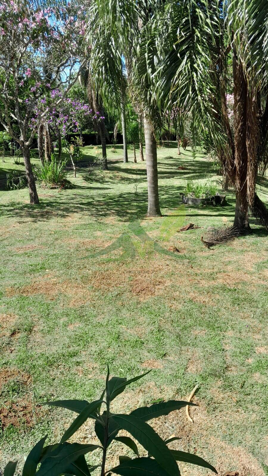 Sítio, 5 quartos, 3662 m² - Foto 19