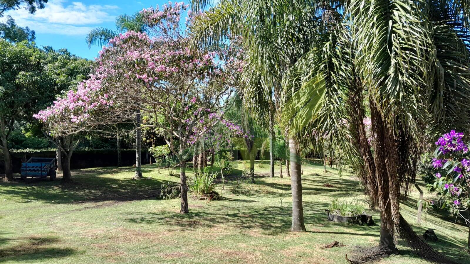 Sítio, 5 quartos, 3662 m² - Foto 22