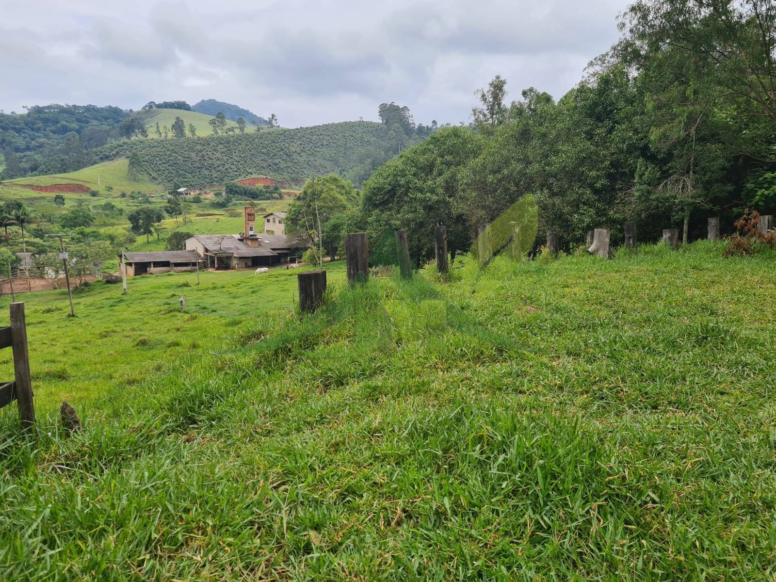 Sítio, 5 quartos, 39 hectares - Foto 1