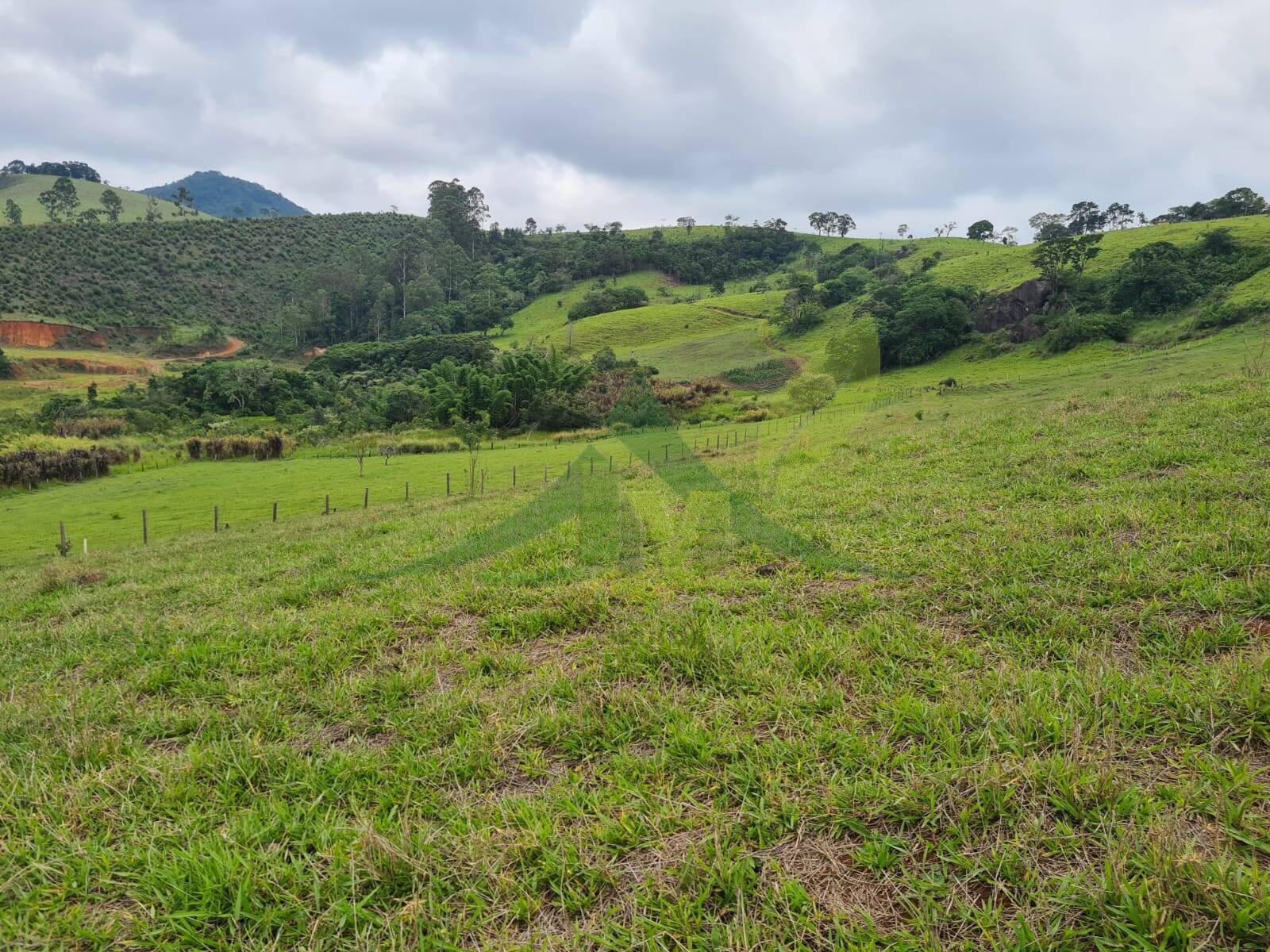 Sítio, 5 quartos, 39 hectares - Foto 3