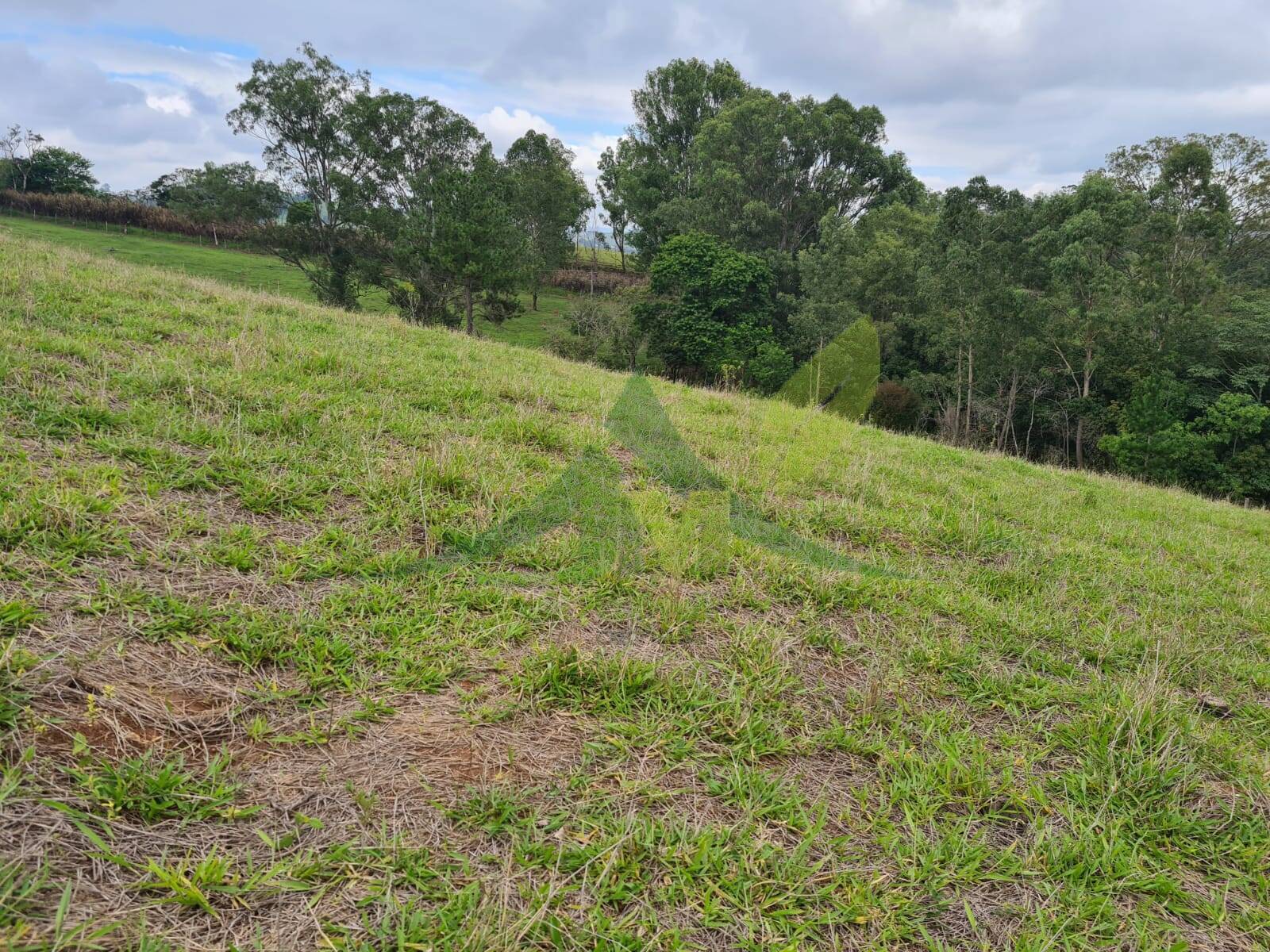 Sítio, 5 quartos, 39 hectares - Foto 4