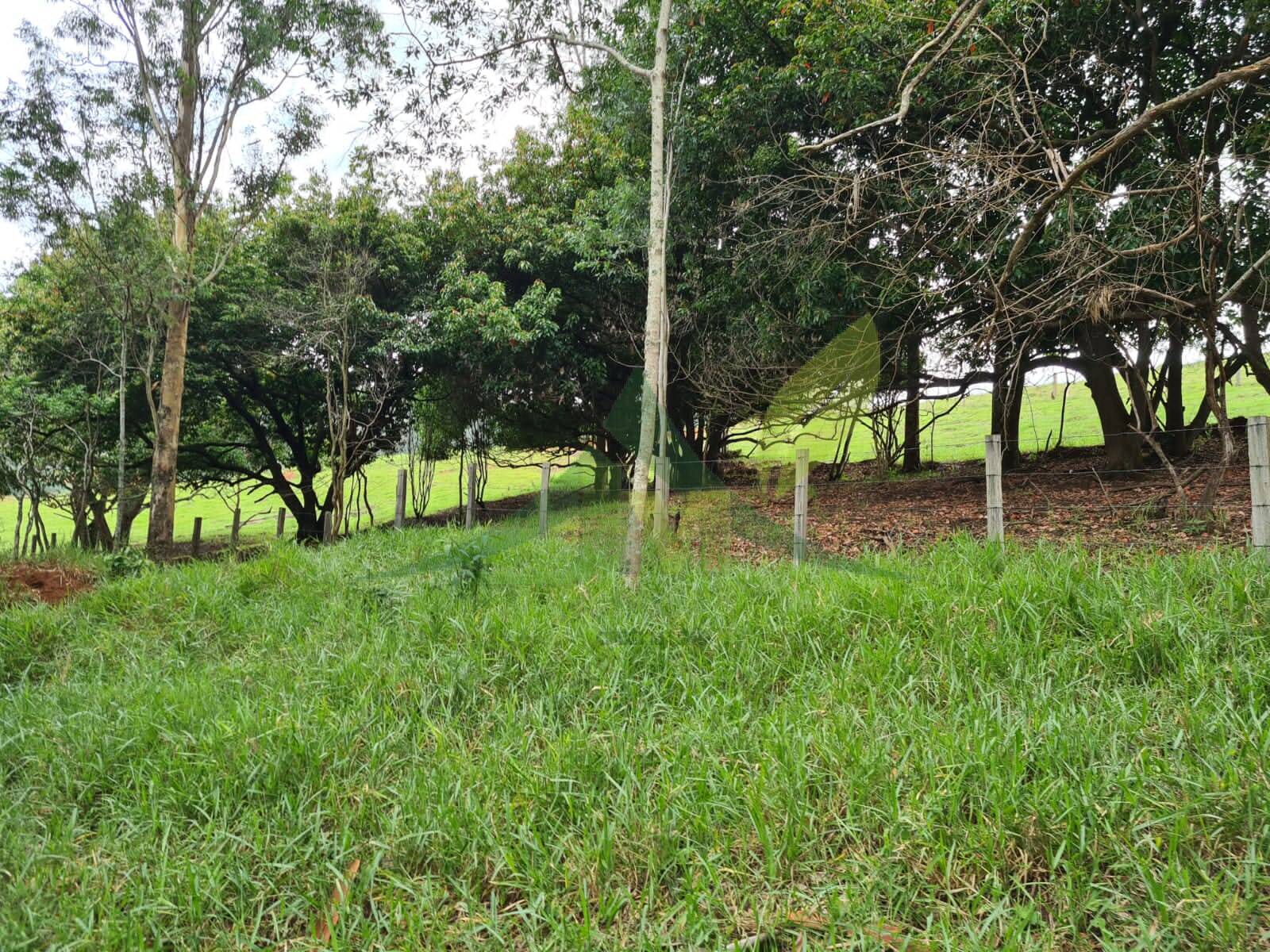 Sítio, 5 quartos, 39 hectares - Foto 11
