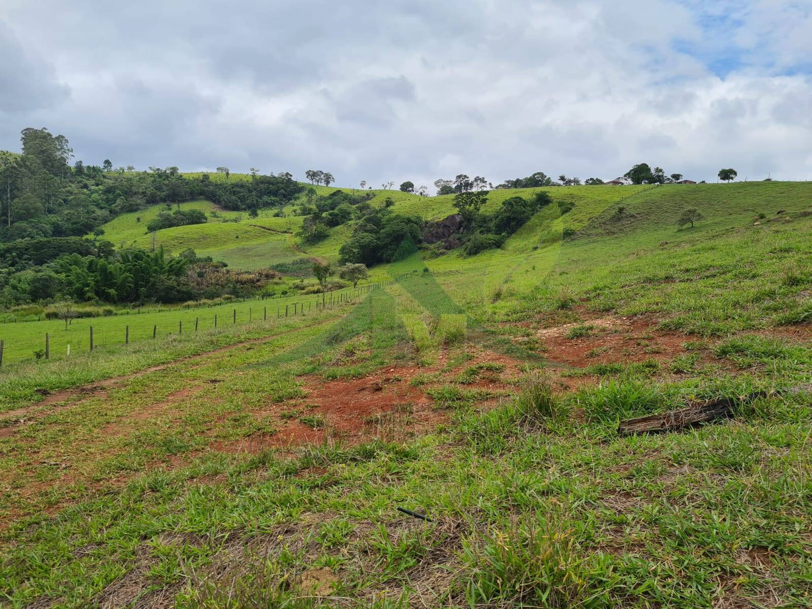 Sítio, 5 quartos, 39 hectares - Foto 12