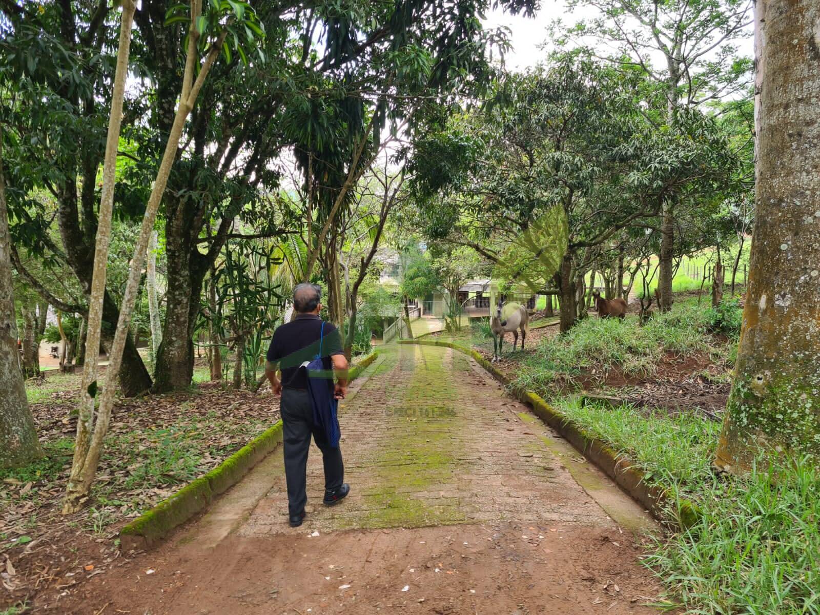Sítio, 5 quartos, 39 hectares - Foto 16
