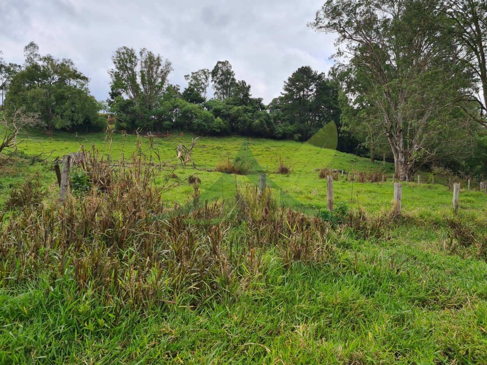 Sítio, 5 quartos, 39 hectares - Foto 17