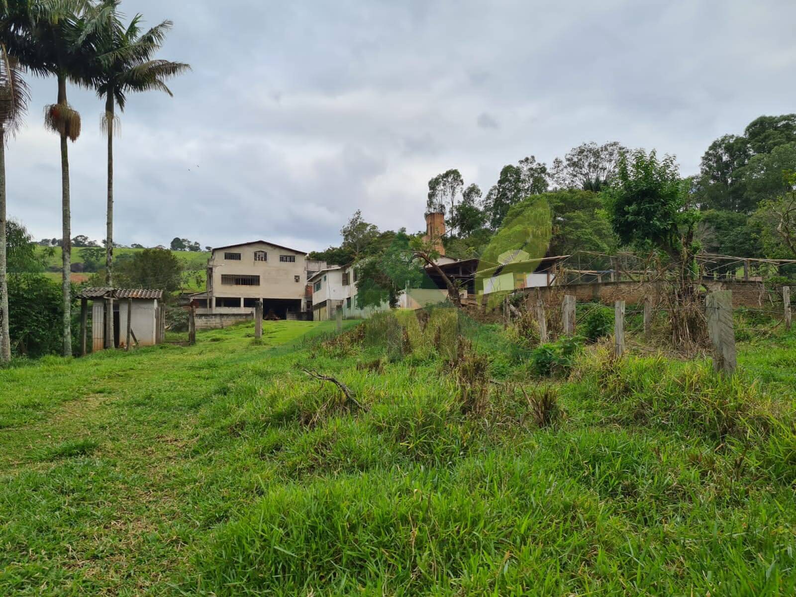 Sítio, 5 quartos, 39 hectares - Foto 19