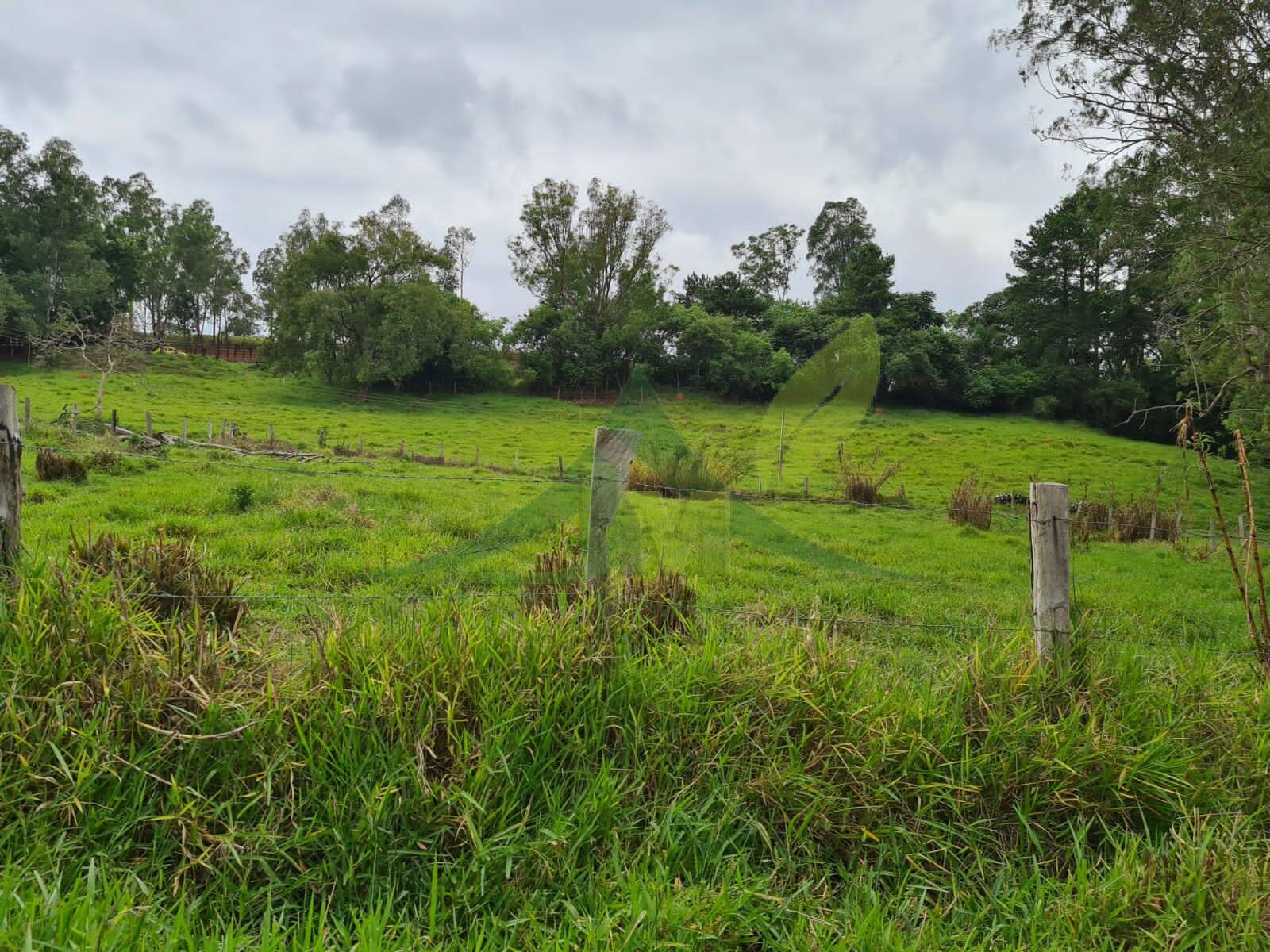 Sítio, 5 quartos, 39 hectares - Foto 18
